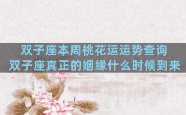 双子座本周桃花运运势查询 双子座真正的姻缘什么时候到来